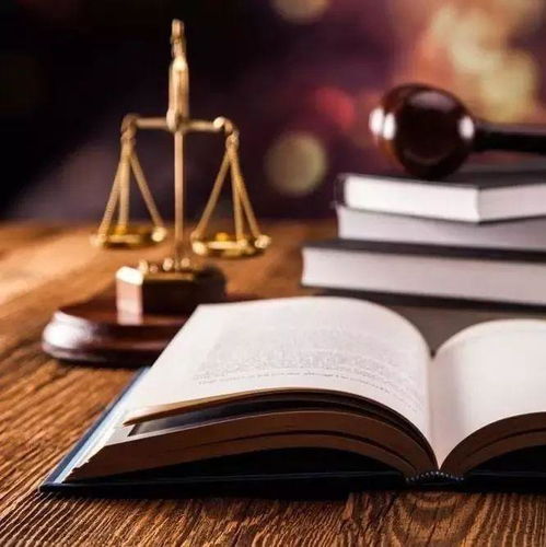 以高水平高質量的司法產品服務黨和國家大局