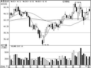 機構聚焦基礎軟件開發 投資邏輯與核心標的解析